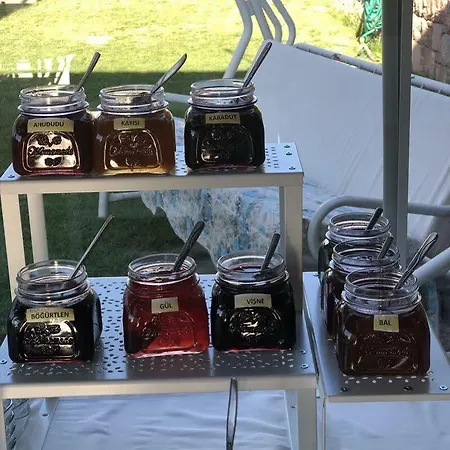 מלון Cunda Vrodi