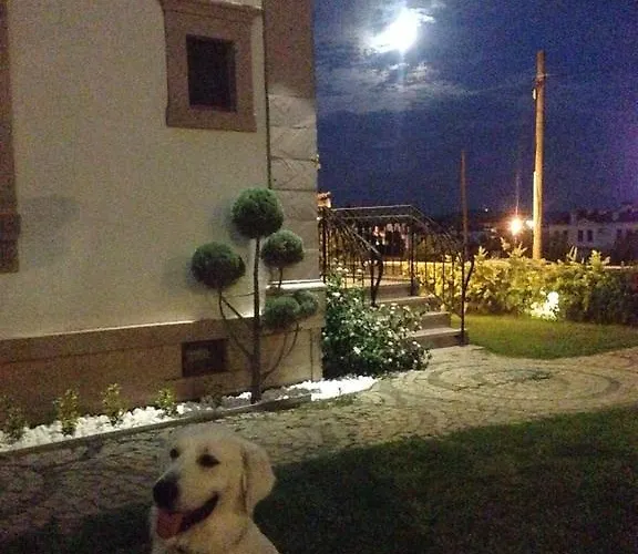 Отель Cunda Vrodi *