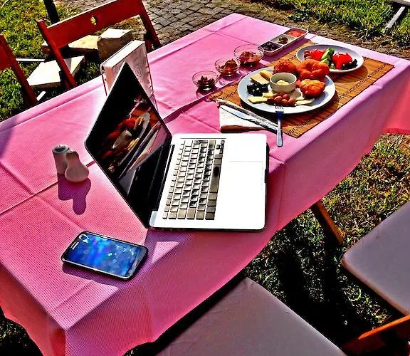 Отель Cunda Vrodi