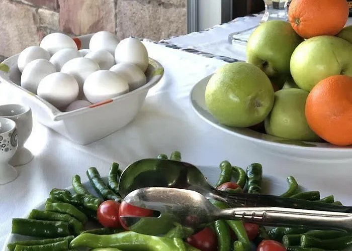 Отель Cunda Vrodi Айвалык