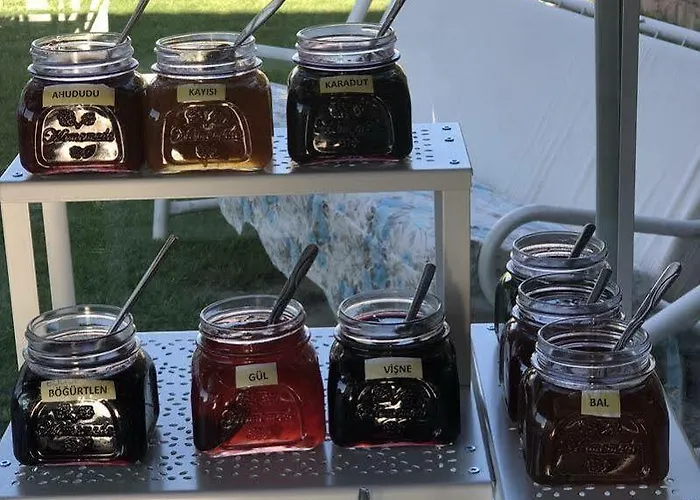 Отель Cunda Vrodi